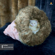 cat house_img_4