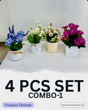 Combo offer! Any 4 pots at 950 taka only_img_0