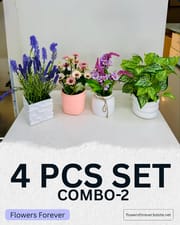 Combo offer! Any 4 pots at 950 taka only_img_1