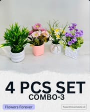Combo offer! Any 4 pots at 950 taka only_img_2