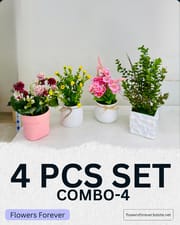 Combo offer! Any 4 pots at 950 taka only_img_3
