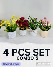 Combo offer! Any 4 pots at 950 taka only_img_4