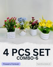 Combo offer! Any 4 pots at 950 taka only_img_5