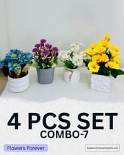 Combo offer! Any 4 pots at 950 taka only_img_6