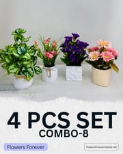 Combo offer! Any 4 pots at 950 taka only_img_7
