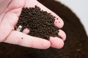 ADA Amazonia Soil V2  (1 kg repack)_img_0