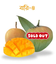 বারি ৪ আম ( Bari 4 Mango)_img_0