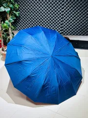 Premium 12-Ribs Automatic Open/Close Wood Handle Umbrella_img_0