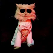 Cat panjabi(custom)_img_0