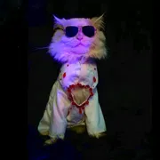 Cat panjabi(custom)_img_1
