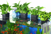 Aquarium plant holder_img_0