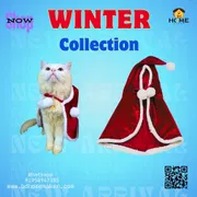cat chenta cape_img_1
