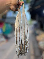 ছুরি শুঁটকি মিডিয়াম সাইজ B (Churi Shutki)_img_0