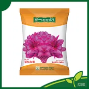 রক্ত জবা লাল শাক বীজ । Red Amaranth seeds Rakta Jaba_img_0