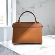 Ladies Handbag_img_1