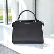 Ladies Handbag_img_2