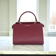 Ladies Handbag_img_5