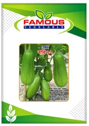 কেজি বেগুন / বারি বেগুন ১২ । Bari begun baro / kg begun_img_1