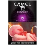 camel-purple-burst-(1-pack)_img_0