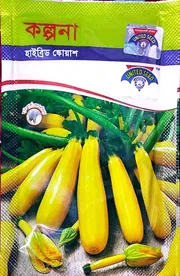হাইব্রিড হলুদ জাতের স্কোয়াস বীজ কল্পনা । Hybrid variety squash seeds imagination. ( Yellow colour )_img_0
