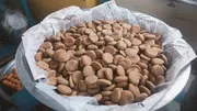পাবনার বিখ্যাত প্যারা সন্দেশ ১কেজি_img_19