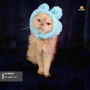 Cat Maflar_img_1