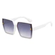 Big size sunglass_img_1
