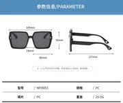 Big size sunglass_img_4