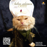 Sultan sulaimon outfit_img_4