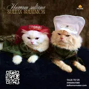 Sultan sulaimon outfit_img_7