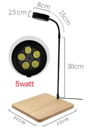 board light_img_2