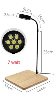 board light_img_3