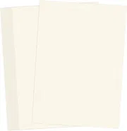 Swedish Board A4 Size 350GSM Premium Quality Pack of 100 sheets_img_3