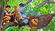 সুন্দরবনের চাক ভাঙ্গা খাঁটি মধু(1-Litre)_img_3