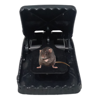 Mouse Killer Trap (5×3×3 inches)_img_0