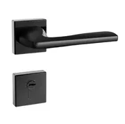 2 in 1 Handle Lock_img_0