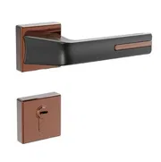 2 in 1 Handle Lock_img_0