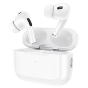 Hoco EW51 ANC True Wireless Bluetooth Earbuds_img_1