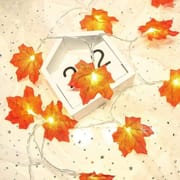 Maple Leaf Fairy Light_img_3