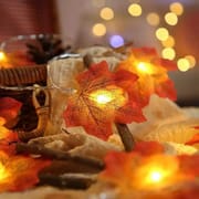 Maple Leaf Fairy Light_img_5