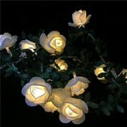 Rose with Leaf Light_img_5