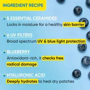DOT & KEY Blueberry Hydrate Barrier Repair Sunscreen SPF 50+ PA++++ - 80g_img_3