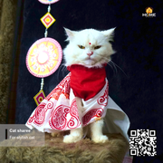 cat sharee_img_3