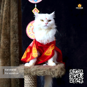 Cat sharee_img_4