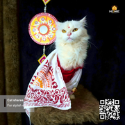cat sharee_img_3