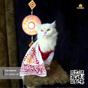cat sharee_img_4