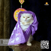 cat sharee_img_4