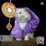 cat sharee_img_6