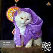 cat sharee_img_7