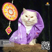 cat sharee_img_9
